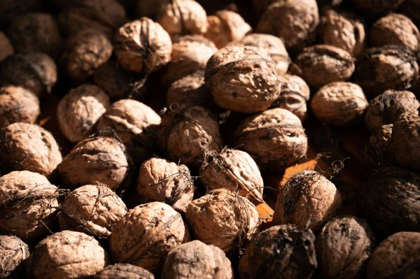 Comment la consommation de fruits à coque peut-elle influencer positivement la santé cardiaque ?